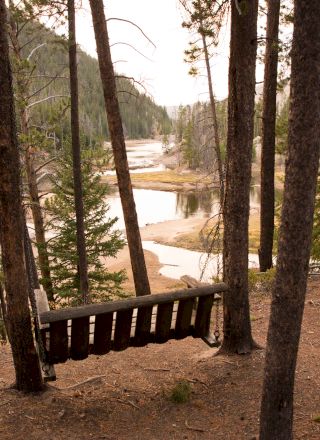 A forest bench overlooks a winding river with tall trees and a remote, peaceful path through pines.