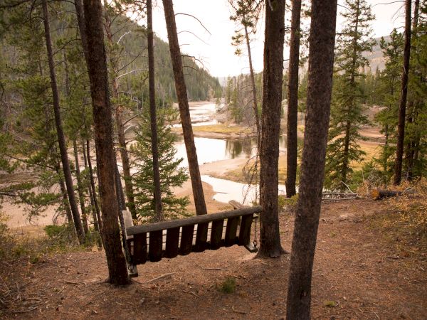 A wooden bench sits among tall pine trees overlooking a winding river valley near a sandy, sunlit clearing.